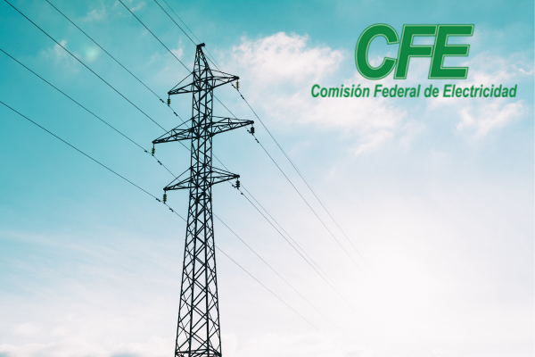 Cómo Consultar y Entender su Recibo CFE